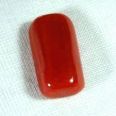 Red coral  5.5 carat approx